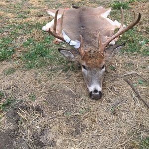 Meet your Posher, Gage